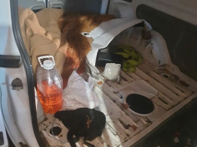 Белый Рено Кенгу Экспресс, объемом двигателя 0 л и пробегом 300 тыс. км за 1200 $, фото 7 на Automoto.ua