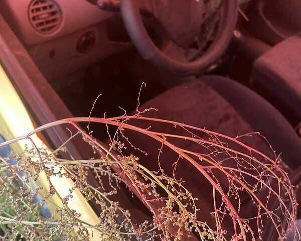 Белый Рено Кенгу, объемом двигателя 1.46 л и пробегом 265 тыс. км за 3200 $, фото 5 на Automoto.ua