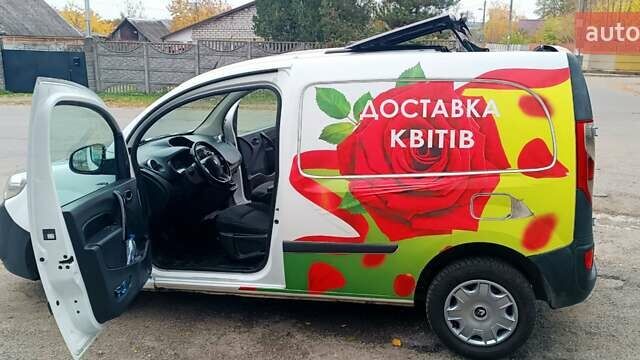 Белый Рено Кенгу, объемом двигателя 1.5 л и пробегом 303 тыс. км за 6000 $, фото 10 на Automoto.ua