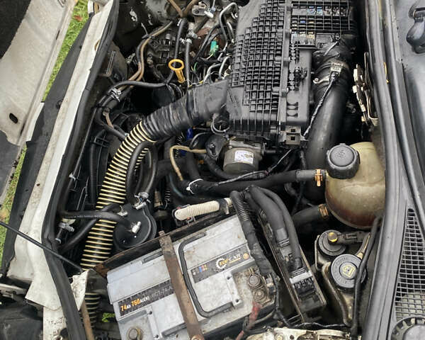 Рено Кєнгу 2005 у Олевске на Automoto.ua Білий Рено Кєнгу, об'ємом двигуна 1.5 л та пробігом 304 тис. км за 3300 $, фото 19 на Automoto.ua