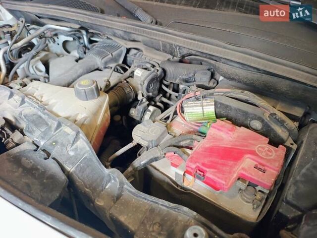 Белый Рено Кенгу, объемом двигателя 1.46 л и пробегом 267 тыс. км за 7500 $, фото 17 на Automoto.ua