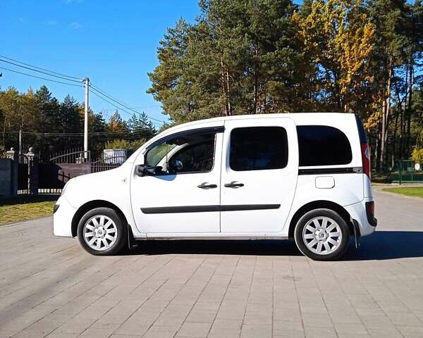 Белый Рено Кенгу, объемом двигателя 1.46 л и пробегом 279 тыс. км за 7500 $, фото 19 на Automoto.ua