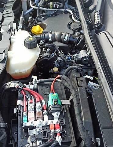 Белый Рено Кенгу, объемом двигателя 1.5 л и пробегом 200 тыс. км за 12000 $, фото 28 на Automoto.ua