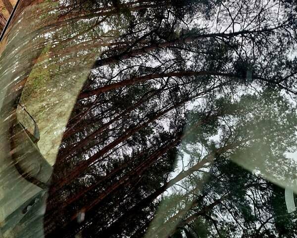 Черный Рено Кенгу, объемом двигателя 1.6 л и пробегом 229 тыс. км за 7900 $, фото 17 на Automoto.ua