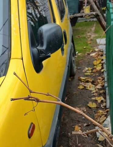 Желтый Рено Кенгу, объемом двигателя 1.5 л и пробегом 300 тыс. км за 2200 $, фото 4 на Automoto.ua