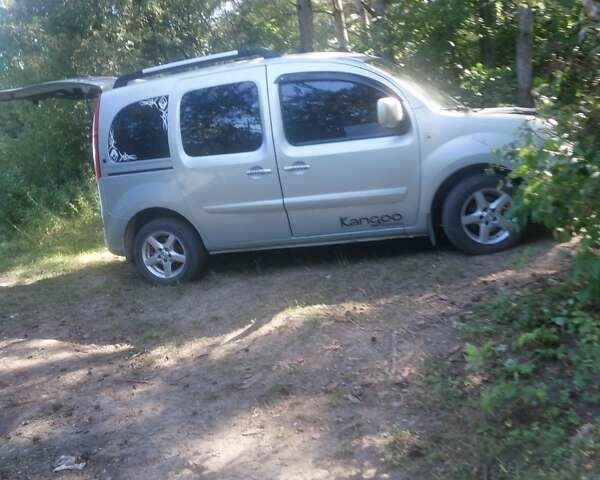 Серый Рено Кенгу, объемом двигателя 1.5 л и пробегом 230 тыс. км за 7500 $, фото 5 на Automoto.ua