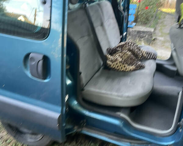 Синий Рено Кенгу, объемом двигателя 1.2 л и пробегом 203 тыс. км за 4800 $, фото 24 на Automoto.ua