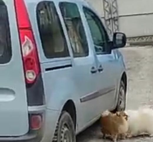 Синий Рено Кенгу, объемом двигателя 1.6 л и пробегом 202 тыс. км за 7317 $, фото 2 на Automoto.ua