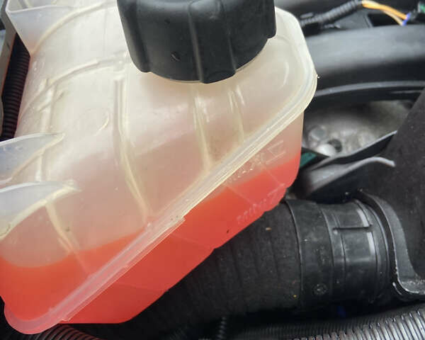 Рено Кенгу 2008 в Бучаче на Automoto.ua Синий Рено Кенгу, объемом двигателя 1.6 л и пробегом 219 тыс. км за 7150 $, фото 35 на Automoto.ua