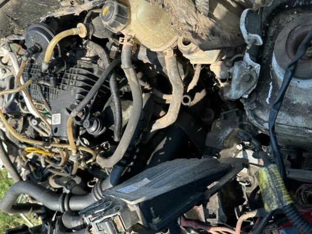 Синій Рено Кєнгу, об'ємом двигуна 0 л та пробігом 1 тис. км за 40000 $, фото 2 на Automoto.ua