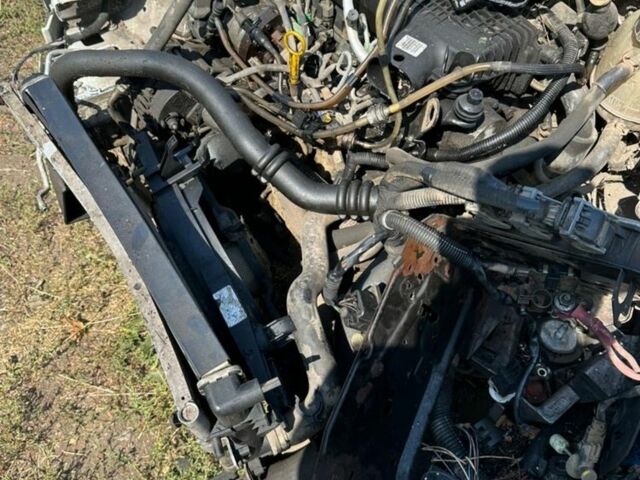 Синій Рено Кєнгу, об'ємом двигуна 0 л та пробігом 1 тис. км за 40000 $, фото 3 на Automoto.ua
