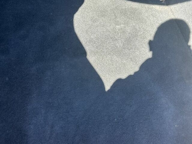 Сірий Рено Лагуна, об'ємом двигуна 1.6 л та пробігом 193 тис. км за 3699 $, фото 5 на Automoto.ua