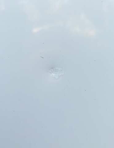 Білий Рено Логан, об'ємом двигуна 1.46 л та пробігом 138 тис. км за 6750 $, фото 8 на Automoto.ua