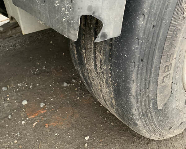 Білий Рено Магнум, об'ємом двигуна 11.96 л та пробігом 1 тис. км за 27499 $, фото 11 на Automoto.ua