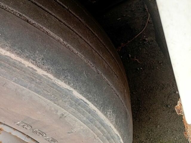 Белый Рено Магнум, объемом двигателя 12 л и пробегом 1000 тыс. км за 3500 $, фото 3 на Automoto.ua