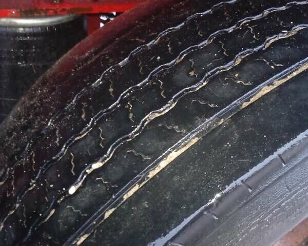 Рено Магнум, об'ємом двигуна 0 л та пробігом 1000 тис. км за 17900 $, фото 6 на Automoto.ua