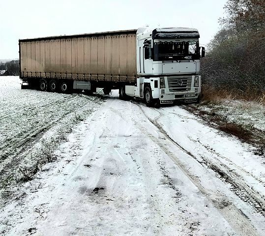 Рено Магнум, объемом двигателя 12 л и пробегом 1 тыс. км за 12000 $, фото 4 на Automoto.ua