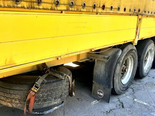 Рено Магнум, об'ємом двигуна 12 л та пробігом 1000 тис. км за 5700 $, фото 4 на Automoto.ua