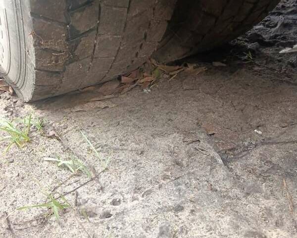 Синій Рено Магнум, об'ємом двигуна 11.9 л та пробігом 1000 тис. км за 6300 $, фото 4 на Automoto.ua