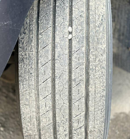 Синий Рено Магнум, объемом двигателя 12.9 л и пробегом 1000 тыс. км за 10000 $, фото 12 на Automoto.ua