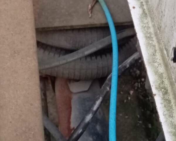 Белый Рено Мастер, объемом двигателя 2.5 л и пробегом 467 тыс. км за 9900 $, фото 13 на Automoto.ua