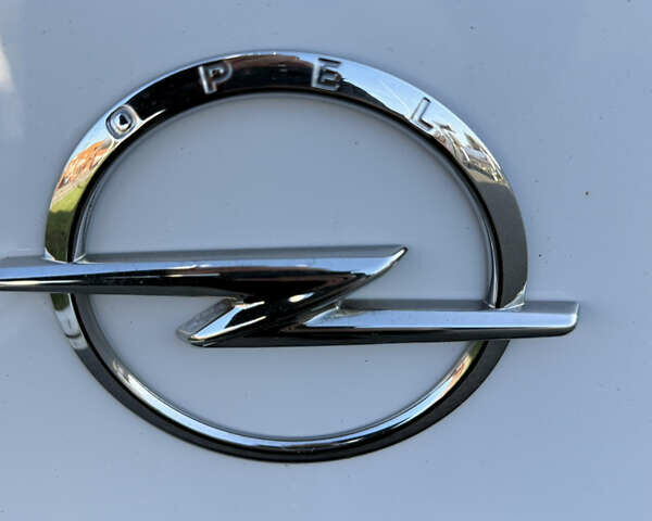 Білий Рено Мастєр, об'ємом двигуна 2.3 л та пробігом 195 тис. км за 17999 $, фото 12 на Automoto.ua