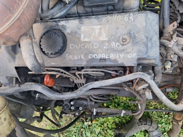 Білий Рено Мастєр, об'ємом двигуна 2.8 л та пробігом 222 тис. км за 1350 $, фото 5 на Automoto.ua