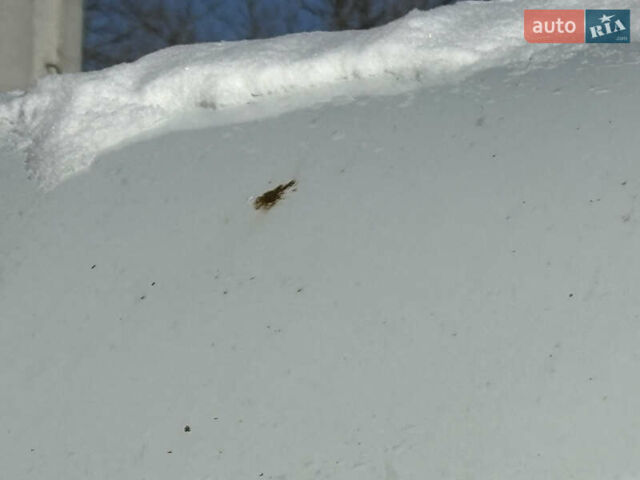 Білий Рено Мастєр, об'ємом двигуна 2.3 л та пробігом 370 тис. км за 14800 $, фото 20 на Automoto.ua