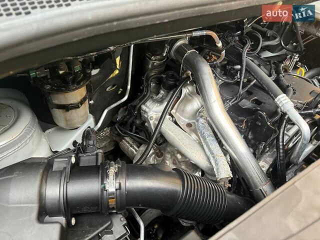 Белый Рено Мастер, объемом двигателя 2.3 л и пробегом 342 тыс. км за 29999 $, фото 41 на Automoto.ua