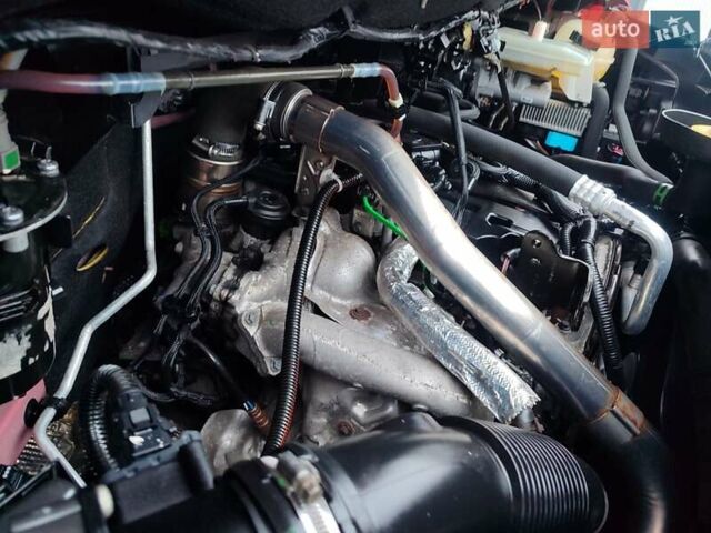 Красный Рено Мастер, объемом двигателя 2.3 л и пробегом 257 тыс. км за 28900 $, фото 25 на Automoto.ua