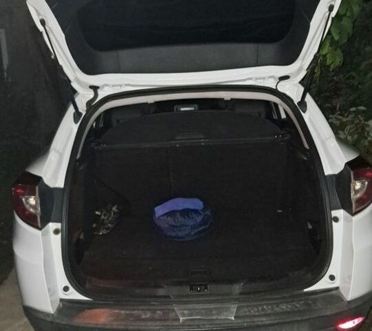 Білий Рено Меган, об'ємом двигуна 1.5 л та пробігом 230 тис. км за 6282 $, фото 6 на Automoto.ua