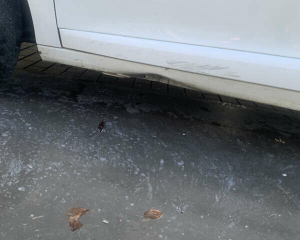 Белый Рено Меган, объемом двигателя 1.5 л и пробегом 362 тыс. км за 7799 $, фото 21 на Automoto.ua