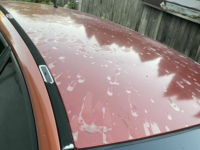 Рено Меган 2005 в Василькове на Automoto.ua Красный Рено Меган, объемом двигателя 1.6 л и пробегом 390 тыс. км за 2800 $, фото 7 на Automoto.ua