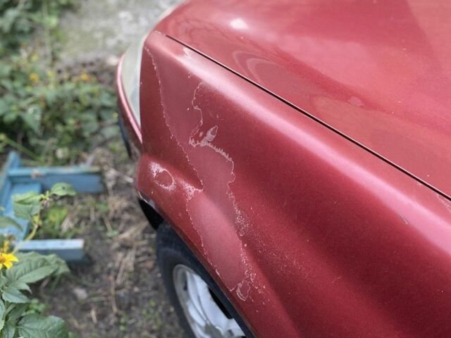 Рено Меган 2005 в Василькове на Automoto.ua Красный Рено Меган, объемом двигателя 1.6 л и пробегом 390 тыс. км за 2800 $, фото 9 на Automoto.ua