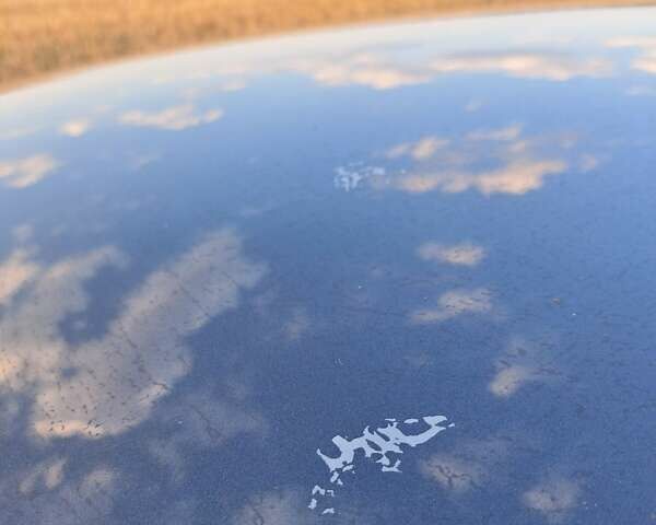 Рено Меган 2011 в Запорожье на Automoto.ua Серый Рено Меган, объемом двигателя 1.4 л и пробегом 227 тыс. км за 7300 $, фото 10 на Automoto.ua