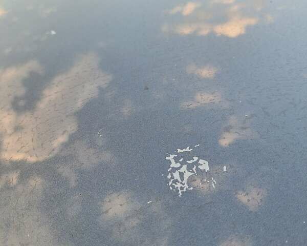 Рено Меган 2011 в Запорожье на Automoto.ua Серый Рено Меган, объемом двигателя 1.4 л и пробегом 227 тыс. км за 7300 $, фото 13 на Automoto.ua