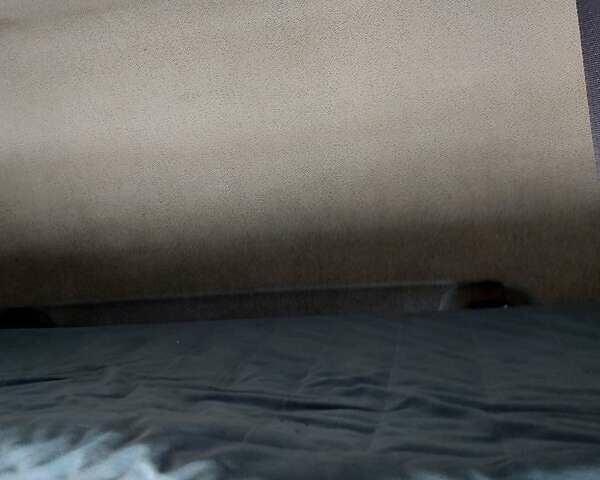 Белый Рено Премиум, объемом двигателя 11 л и пробегом 1 тыс. км за 5800 $, фото 19 на Automoto.ua