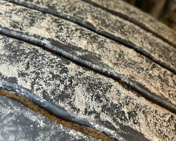 Рено Премиум 2006 в Киеве на Automoto.ua Красный Рено Премиум, объемом двигателя 10.8 л и пробегом 1 тыс. км за 5800 $, фото 3 на Automoto.ua