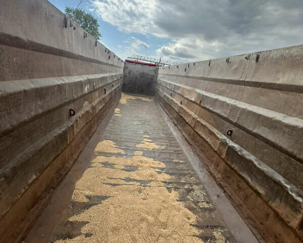 Рено Премиум, объемом двигателя 0 л и пробегом 2 тыс. км за 15500 $, фото 7 на Automoto.ua