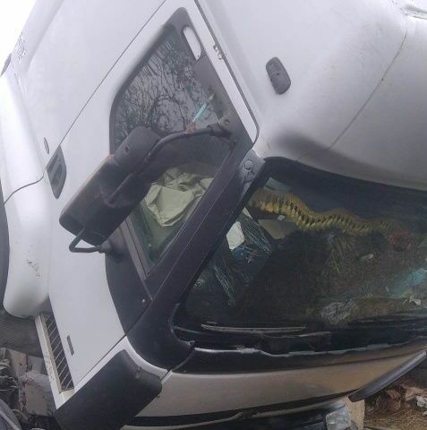 Рено Премиум, объемом двигателя 0 л и пробегом 0 тыс. км за 3000 $, фото 5 на Automoto.ua