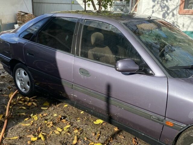 Рено Сафран 1993 в Виннице на Automoto.ua Серый Рено Сафран, объемом двигателя 2 л и пробегом 200 тыс. км за 700 $, фото 2 на Automoto.ua