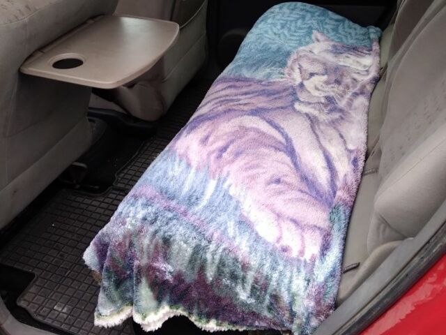 Червоний Рено Сценік II, об'ємом двигуна 9 л та пробігом 360 тис. км за 3500 $, фото 7 на Automoto.ua