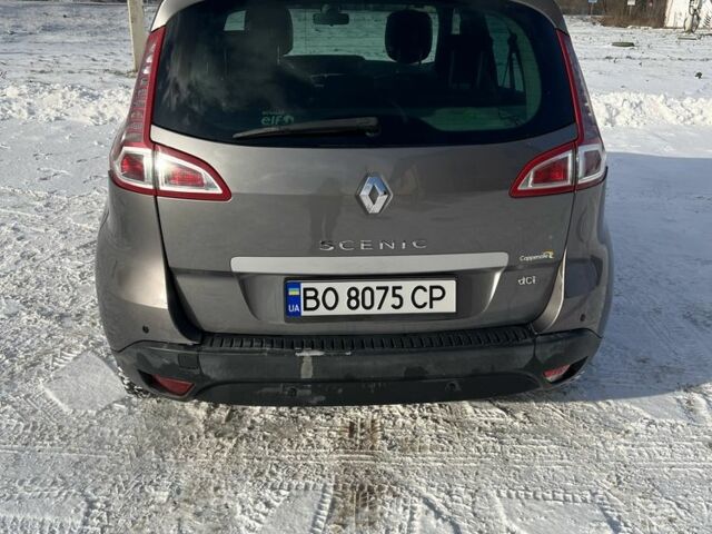 Серый Рено Сценик III, объемом двигателя 1.5 л и пробегом 230 тыс. км за 5799 $, фото 5 на Automoto.ua