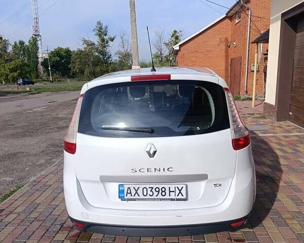 Белый Рено Сценик, объемом двигателя 1.4 л и пробегом 174 тыс. км за 6900 $, фото 1 на Automoto.ua