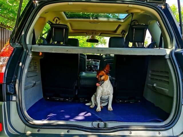 Черный Рено Сценик, объемом двигателя 1.6 л и пробегом 170 тыс. км за 4700 $, фото 6 на Automoto.ua