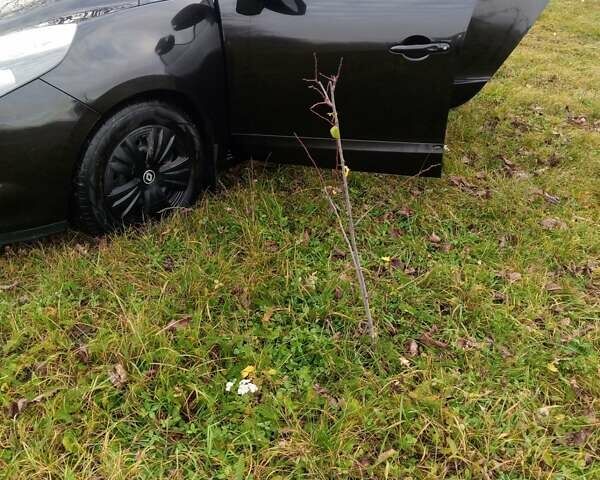 Черный Рено Сценик, объемом двигателя 1.9 л и пробегом 261 тыс. км за 7199 $, фото 15 на Automoto.ua