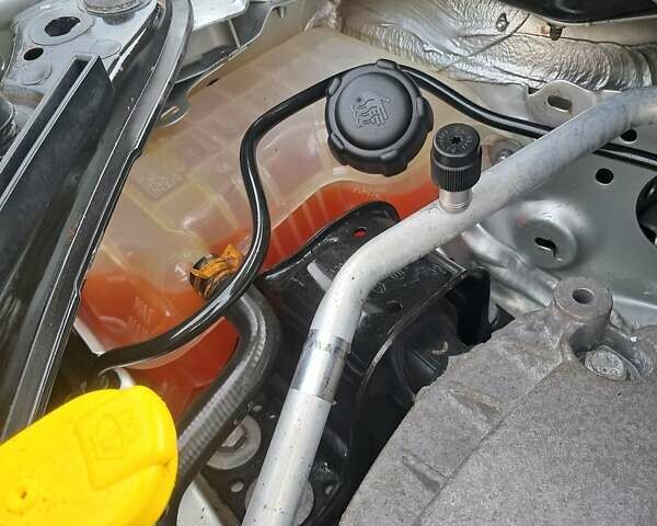 Сірий Рено Сценік, об'ємом двигуна 1.6 л та пробігом 179 тис. км за 6500 $, фото 20 на Automoto.ua