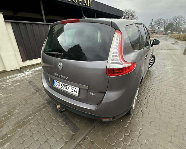 Серый Рено Сценик, объемом двигателя 1.4 л и пробегом 245 тыс. км за 7000 $, фото 10 на Automoto.ua