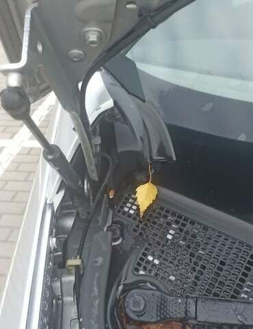 Рено Сценік 2014 у Дубно на Automoto.ua Сірий Рено Сценік, об'ємом двигуна 1.6 л та пробігом 264 тис. км за 8950 $, фото 35 на Automoto.ua