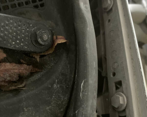 Серый Рено Сценик, объемом двигателя 1.6 л и пробегом 235 тыс. км за 8700 $, фото 59 на Automoto.ua